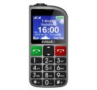 Evolveo EasyPhone FM (EP800), ezüst